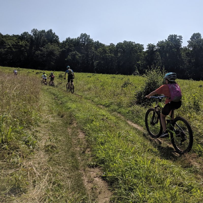 IMG_20190725_120343_034.jpg