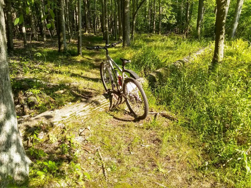 IMG_20190730_165425172_HDR.jpg