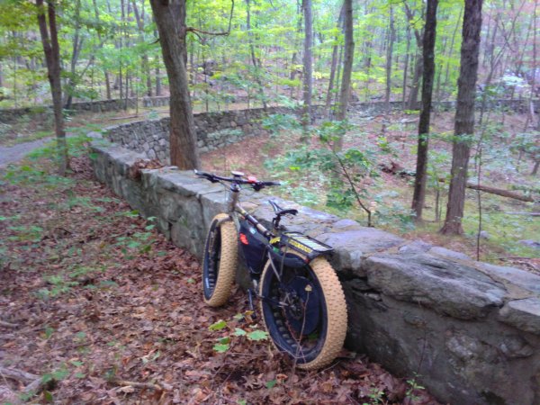 IMG_2022925_10245[1].jpg