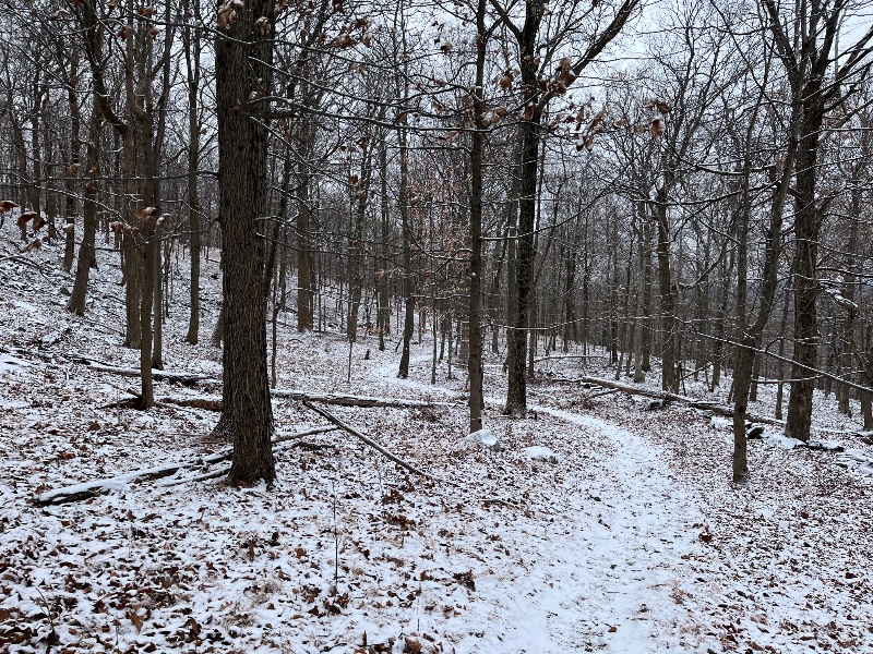 IMG_2061.jpeg