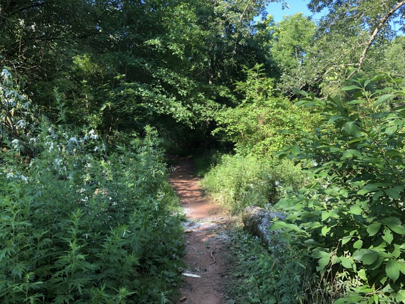 IMG_6207.jpg IMG_6207.jpg