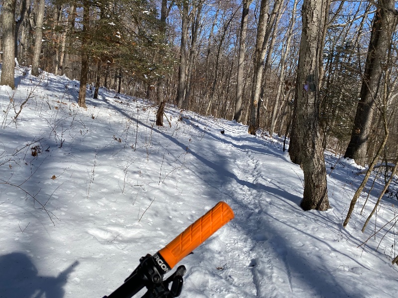 IMG_6604.jpeg
