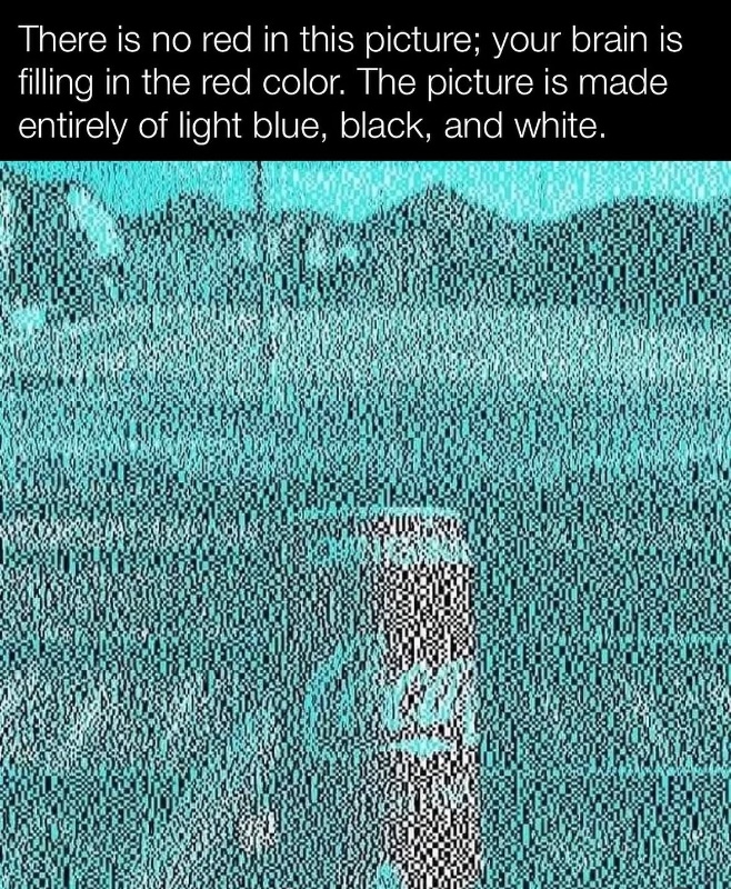 IMG_7327.jpeg