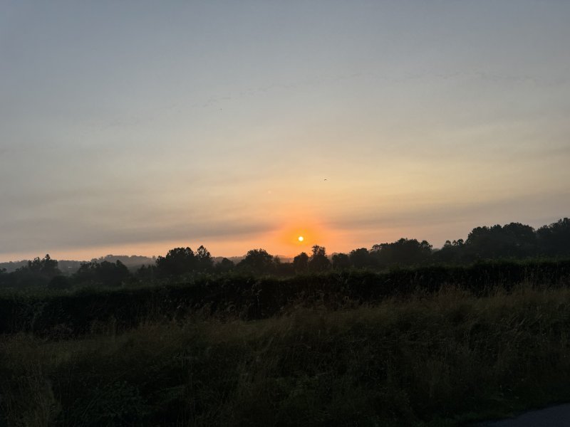 IMG_7770.jpeg