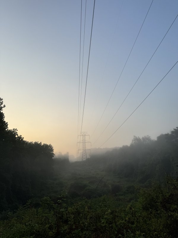 IMG_7771.jpeg