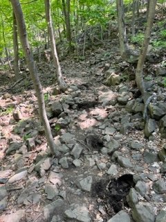 IMG_9648.jpg