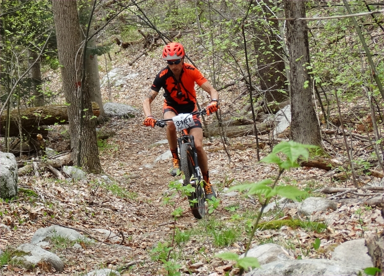 Iron Furnnterrabiker.jpg