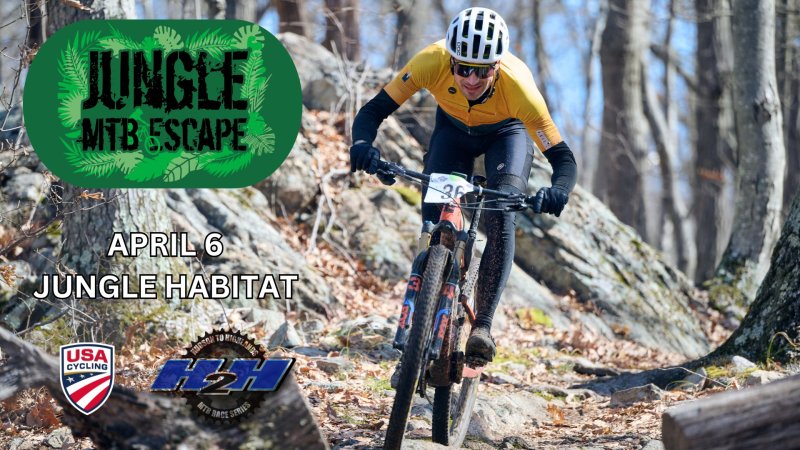 Jungle MTB image.jpg