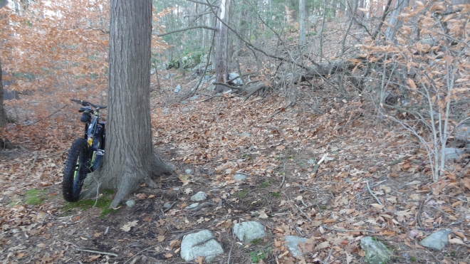 Little Bear TMs05.jpg