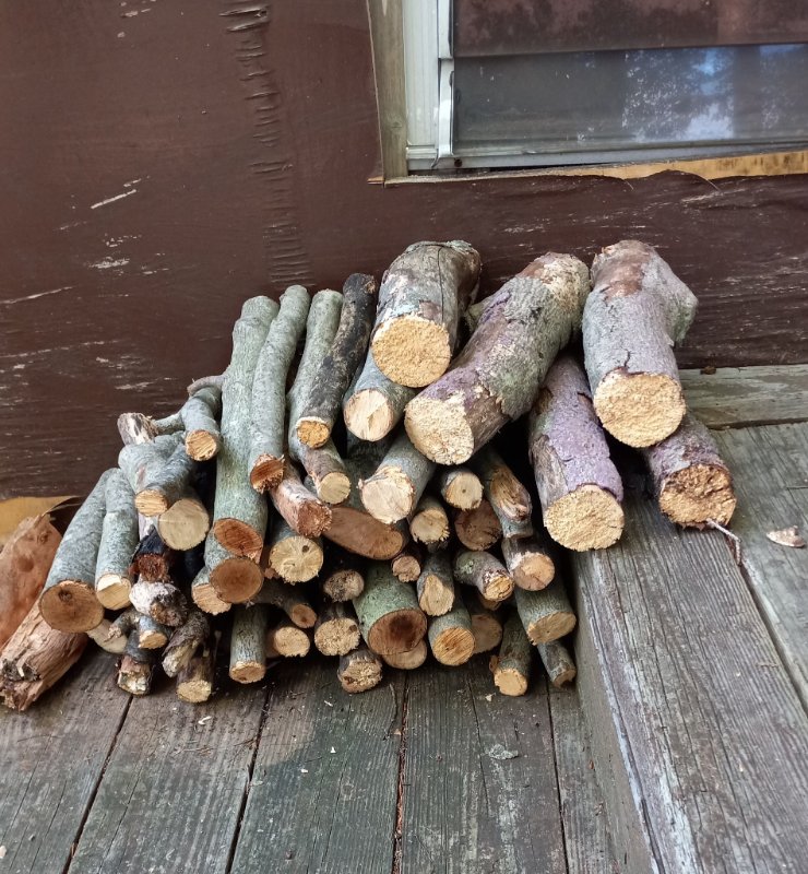 logpile1.jpg