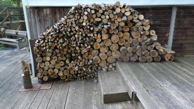 logpile2.jpg