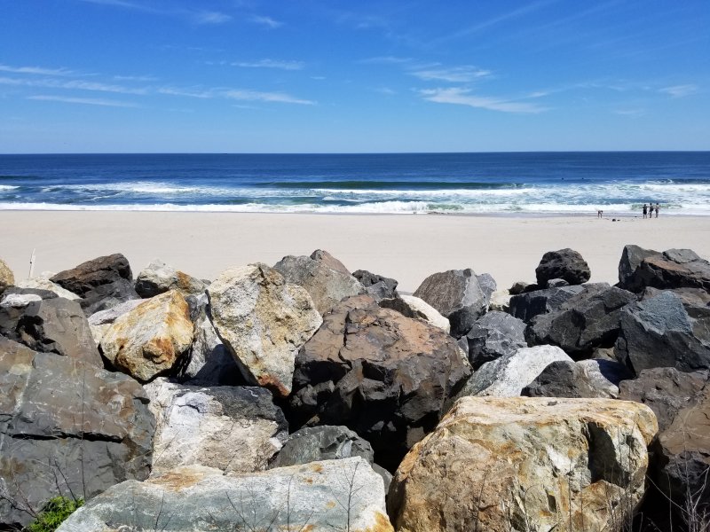 lone beach 2020.jpg