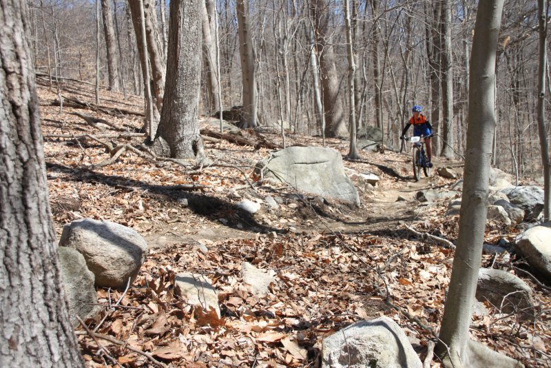 Mooch Madness H2H 2018 531.jpg