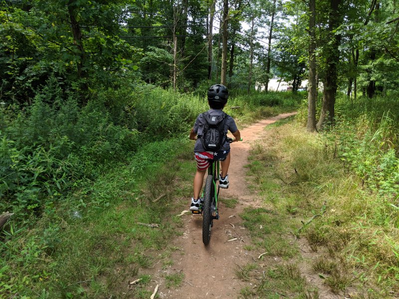 MVIMG_20190731_114639.jpg