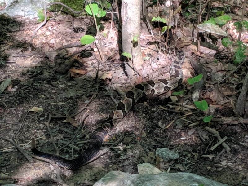 MVIMG_20190826_102541.jpg