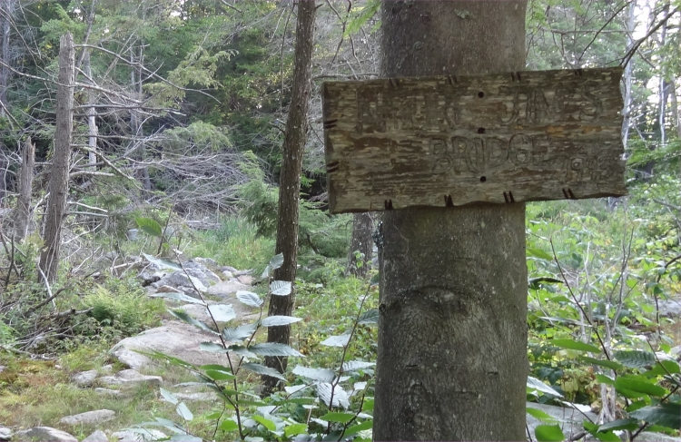 Nature Jims.jpg
