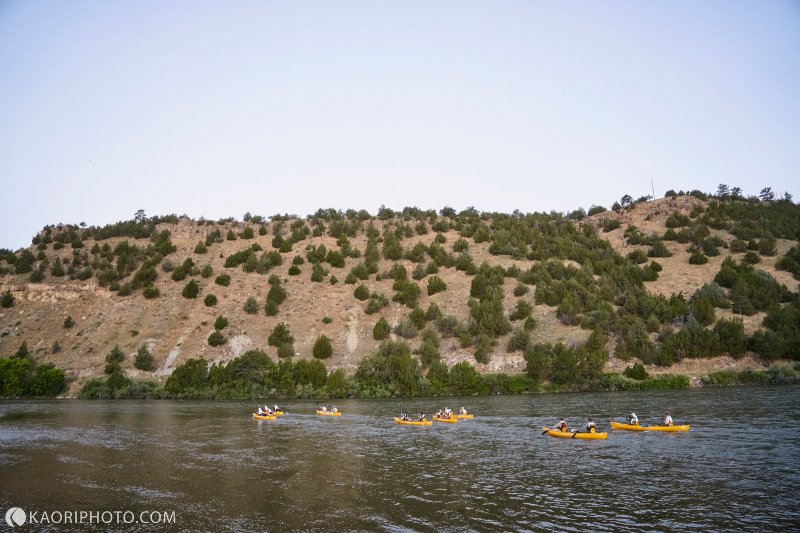 paddle2.jpg