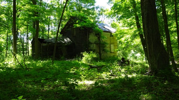 Paulinskill june11.jpg