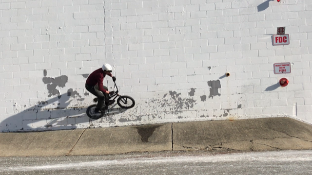 petco wallride.png