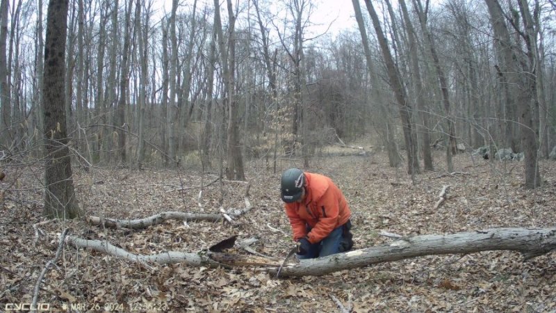 pete at tree2.jpg