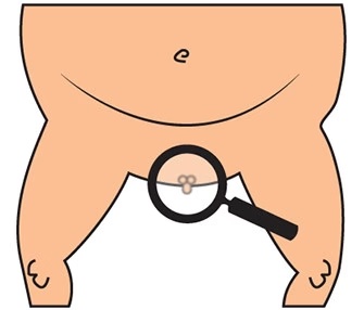 PP6.jpg
