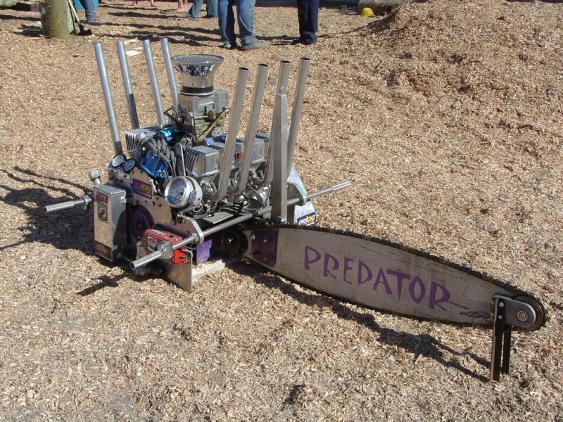 predator.jpg