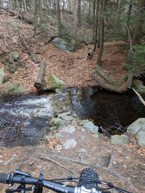 PXL_20230127_134231099.MP.jpg
