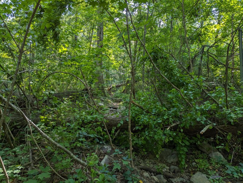 PXL_20230802_203745111.jpg