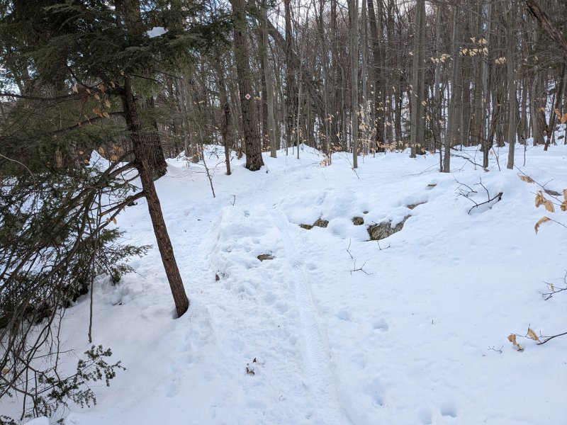 PXL_20240219_130226490.jpg