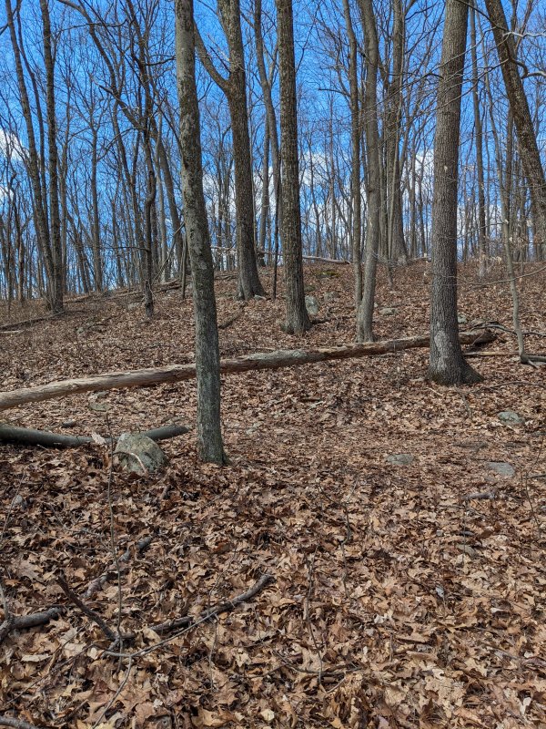 PXL_20240407_182015671.jpg