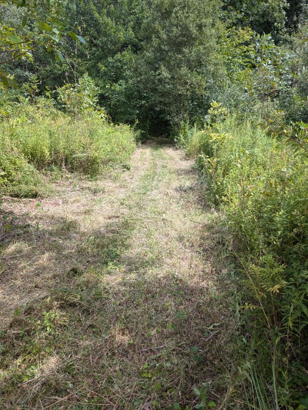 PXL_20240820_182333325.jpg