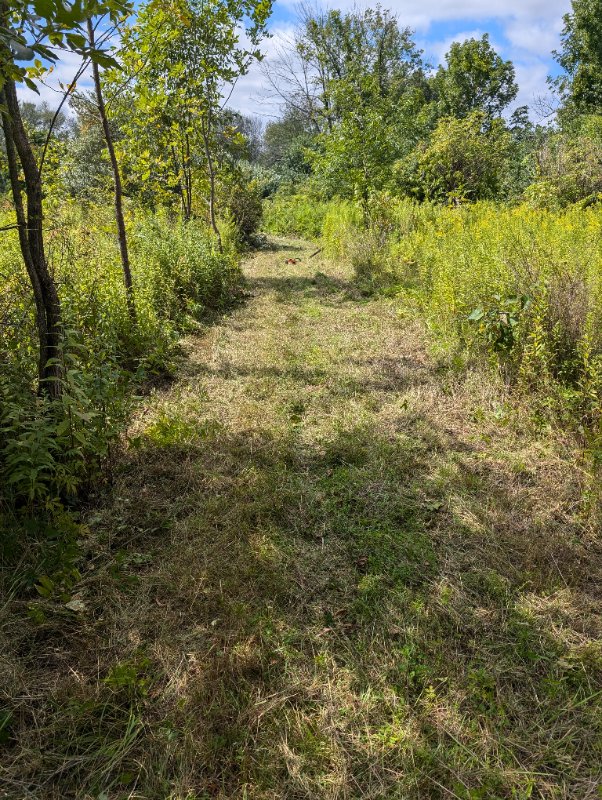 PXL_20240820_182337891.jpg