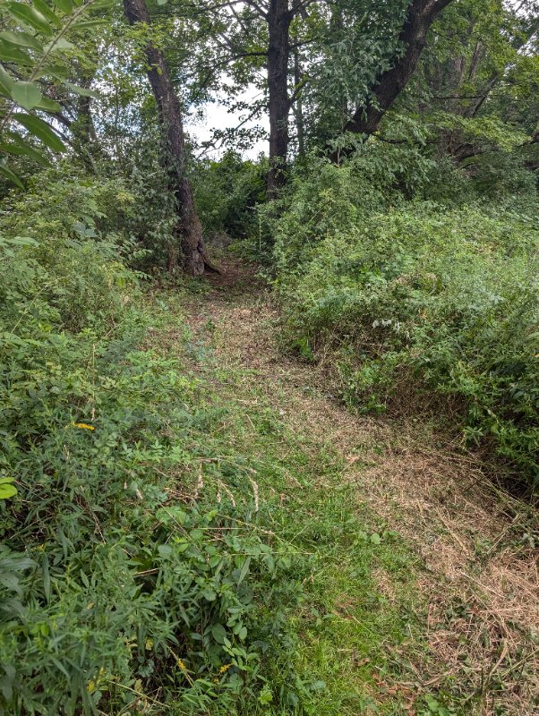 PXL_20240820_183218365.jpg