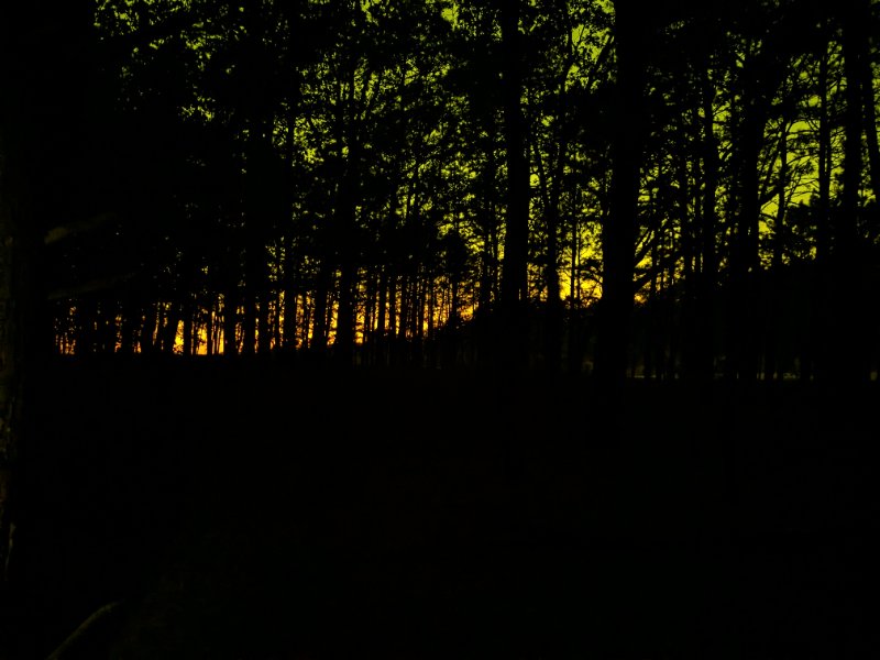 PXL_20241011_225652919.NIGHT.jpg