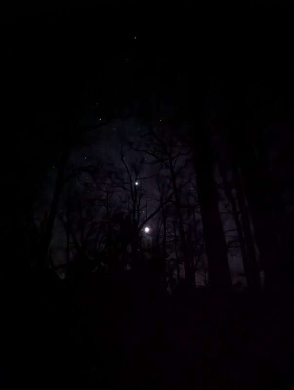 PXL_20250103_000440910.NIGHT.jpg