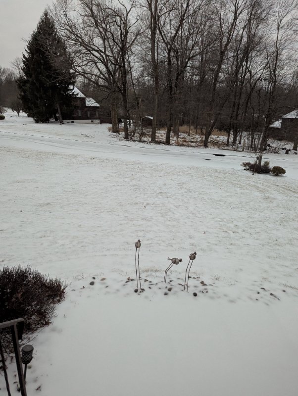 PXL_20250209_113852390.MP.jpg