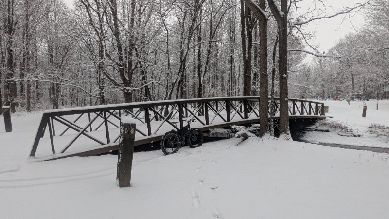 PXL_20250212_121032559.jpg