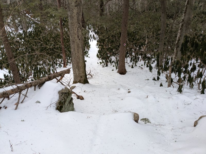 PXL_20250220_194356891.jpg