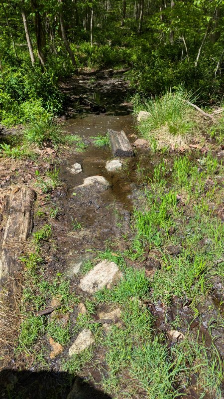 PXL_20250510_145446321.jpg