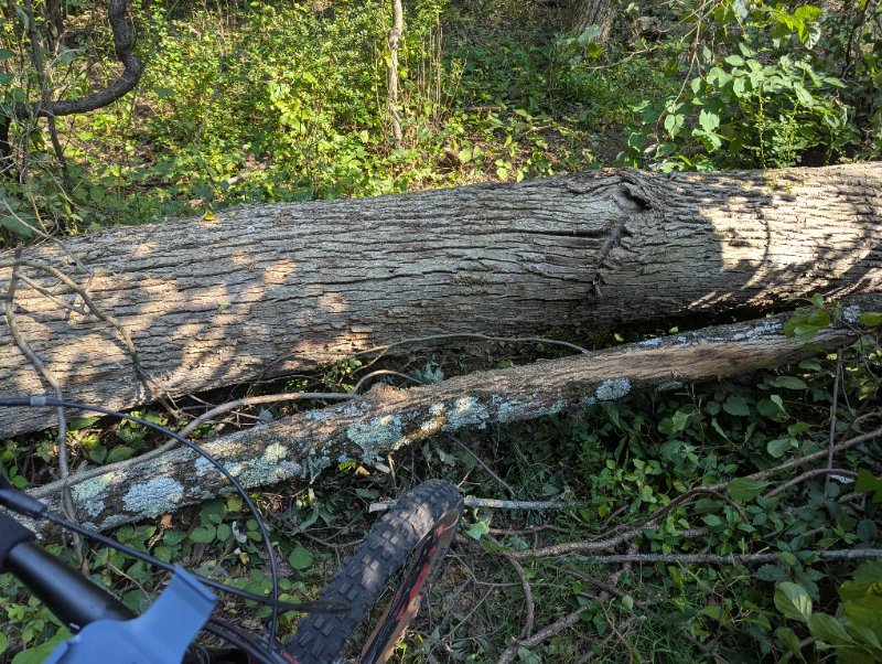 PXL_20250815_204223445.jpg