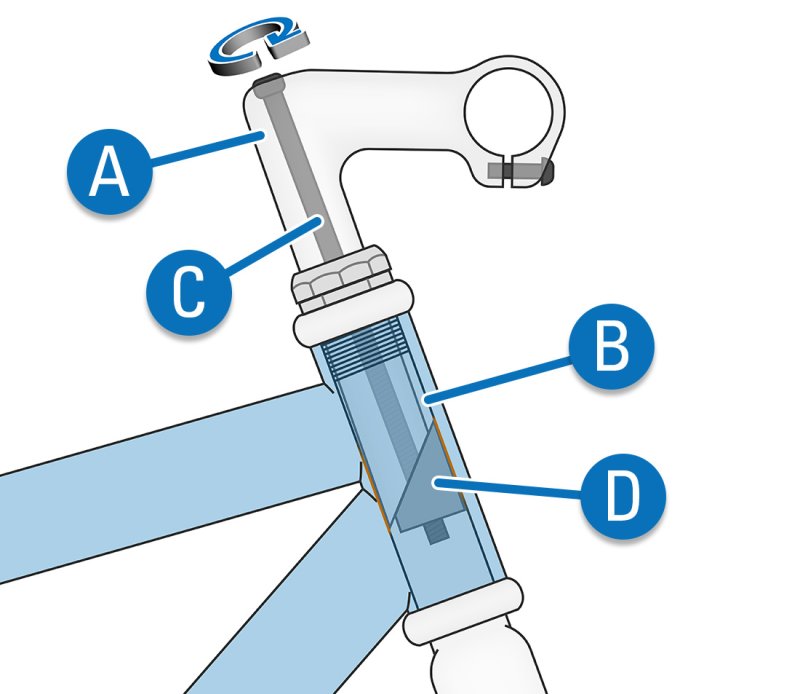 Quill-Stem-Definition.jpg