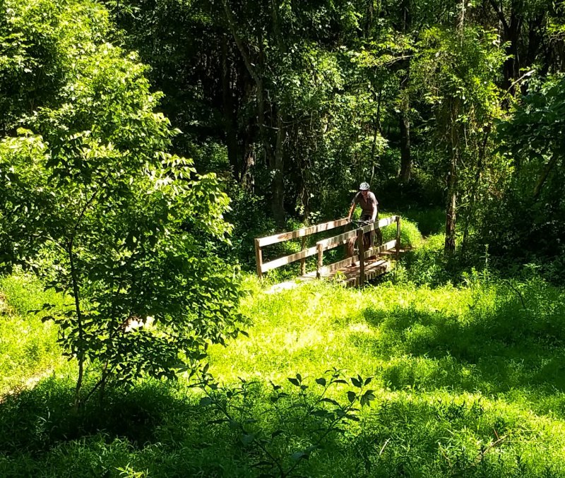 RUSS RAIL IMG_20180707_134548-01.jpg