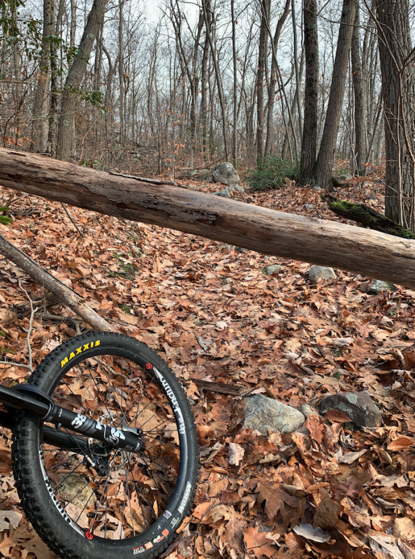 Screen Shot 2022-11-14 at 8.57.18 AM.png