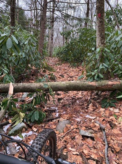 Screen Shot 2023-01-30 at 9.37.50 AM.png