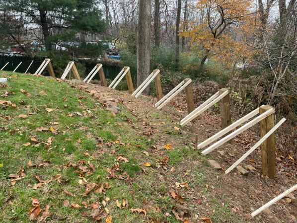 Screen Shot 2023-11-21 at 1.31.47 PM.png