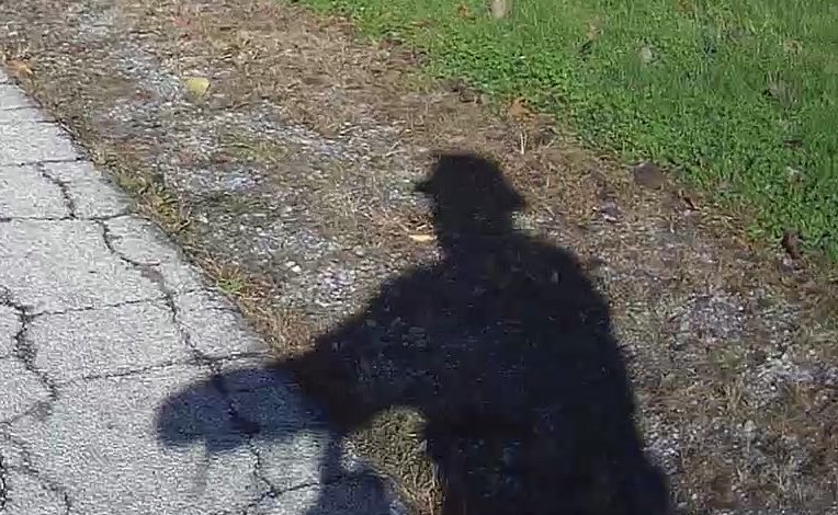 shadow.jpg