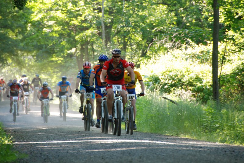 single speed palozza photo 1.jpg