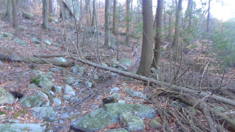 Sitting Bear 3_17_03.jpg