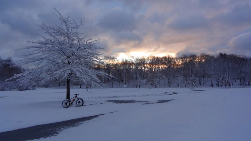 Snowy Nov02.jpg