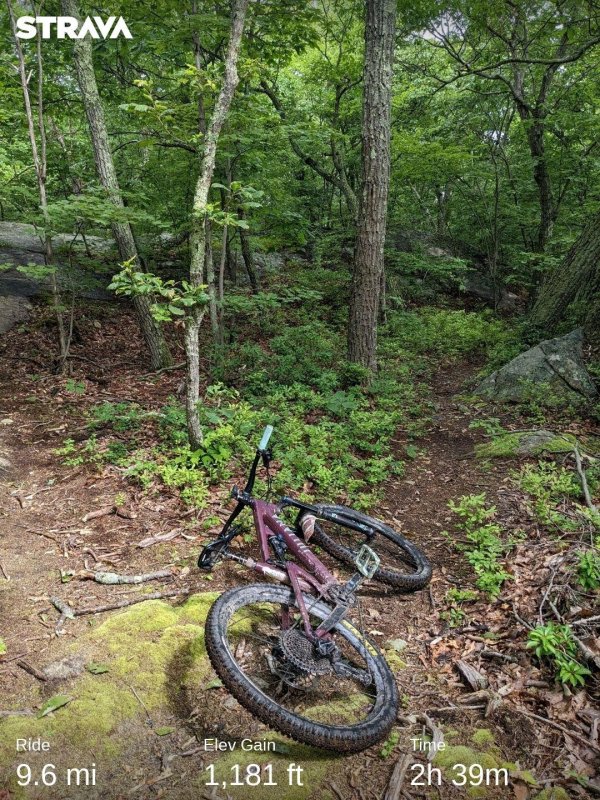 strava4693318431678941827.jpg